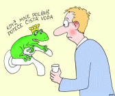 vtip